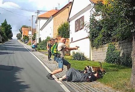 قام ضابط شرطة برد فعل ممتاز بحماية والدته من الكلاب العدوانية (1 صورة + 1 فيديو) 