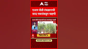 [HI] शरद पवार बारामती: शरद पवार ने एआई खेती तकनीक का निरीक्षण किया