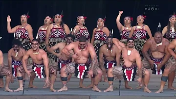 [ZH] 曼加塔阿维里 (Mangataawhiri) 极点 |是的